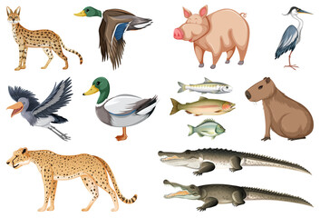 Different kinds of animals collection