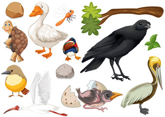 Different kinds of wild animals collection