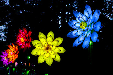 Floral Lanterns