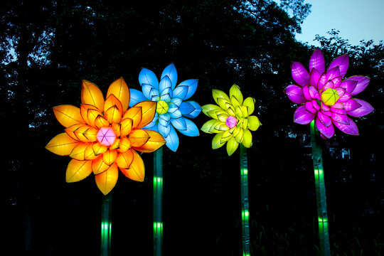Flower Lanterns