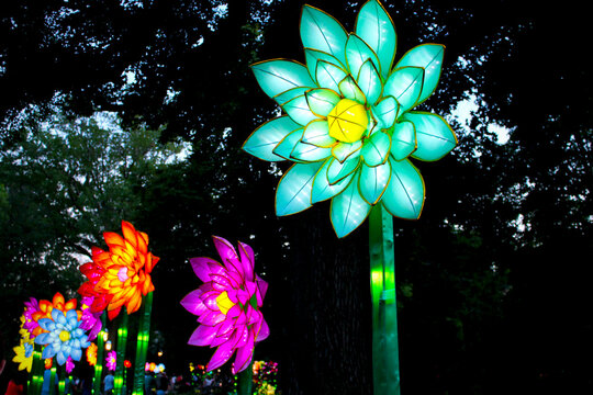 Flower Lights