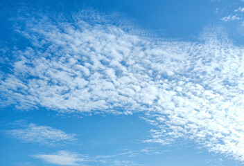 Fototapeta na wymiar Blue sky with a thin white cloud