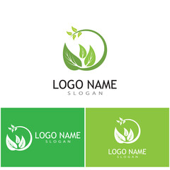 Mint leaves flat vector color icon template illustration design