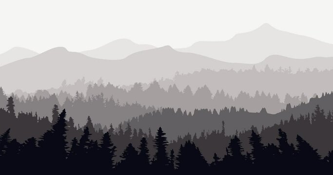 Animated video parallax mountain forest with dominant gray color