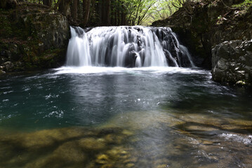 Fototapeta na wymiar a beautiful waterfall shot by long exposure