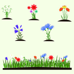 Obraz na płótnie Canvas grass flowers lawn summer spring 
