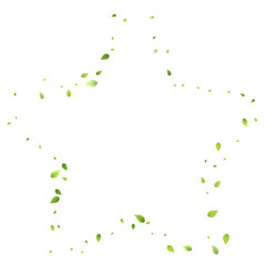 Leaves Green Falling Flying Foliage Leaf Tea Mint