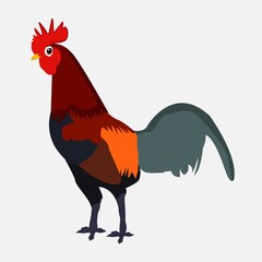 Cock Flat Vector Graphic Design 