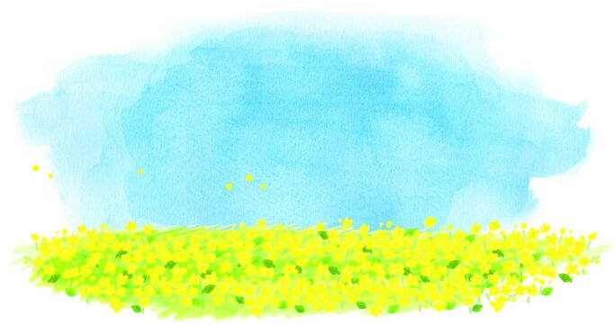 水彩の菜の花畑と青空のループアニメ