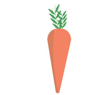 人参 Images Browse 49 372 Stock Photos Vectors And Video Adobe Stock