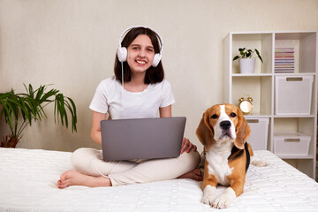 A young teenage girl with headphones is sitting on a bed with a laptop. A beagle dog is lying nearby. Cozy home environment.