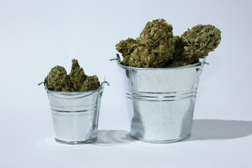 Dry cannabis, marijuana blooms in buckets on white background. Big hemp buds in pails. Harvest...