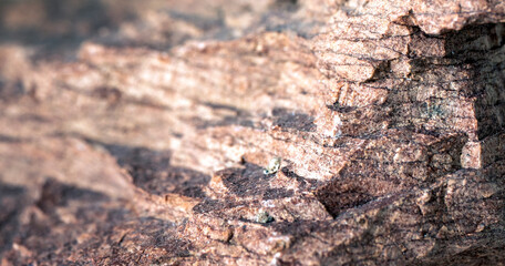 Rock made of plates, texture background.