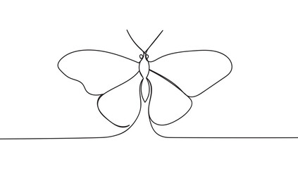 Butterfly insect flies in flight spreading its wings one continuous drawing line