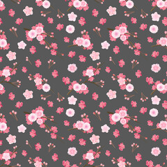 Sakura flowers, seamless pattern on dark background, vector illustration.