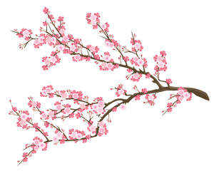Blooming sakura branch with pink flowers, realistic vector illustration.