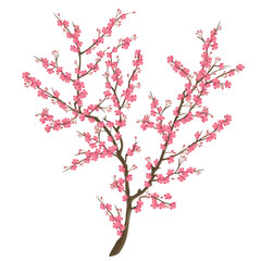 Sakura tree with flowers, vector illustration.