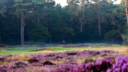 Golf course met ondergaande zon herfst schemering golfcourse