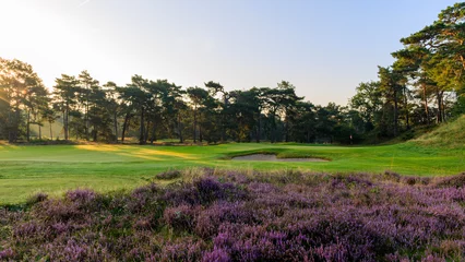 Poster Golf course met ondergaande zon herfst schemering golfcourse © Peter