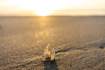 Beach at the Netherlands and sunsset