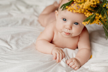closeup portrait of a newborn baby lying on a white bed with a sprig of mimosa. happy carefree...
