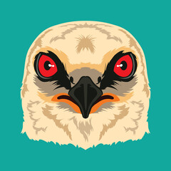 Mississippi Kite bird face vector illustration in decorative style, perfect for tshirt style and mascot logo