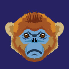Cute and colorful Monkey face vector illustration in decorative style, perfect for tshirt style and mascot logo