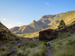 Obraz premium Senderista por el camino del barranco de El Risco hacia el charco azul. Isla de Gran Canaria, España. Típico paisaje agreste con profundos barrancos en la isla.