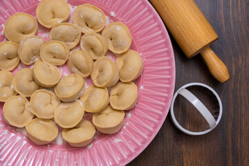 A dish of dough and meat. Ukrainian ravioli.