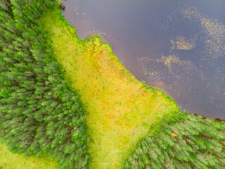 Aerial view on natural swamp from above, wild nature background - Karelia region, Russia