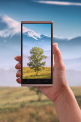 Tree in a mountain valley on a screen
