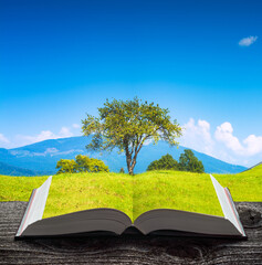 Tree on a spring grassy meadow on a book
