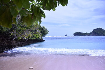 beach with trees