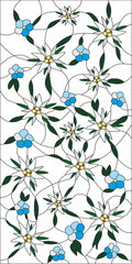 Vector template for stained glass Edelweiss and forget-me-nots. Mountain flowers, blue plants for glass painting. Pattern for window, door and ceiling.
