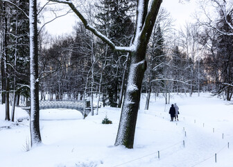 Bridges in a snow-covered winter park in Gatchina, Leningrad region, Russia