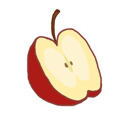hand drawn apple fruit red white background