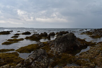 岩だらけの透明な海と海藻