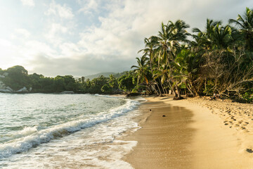beach with palm trees, Tayrona park, Colombia