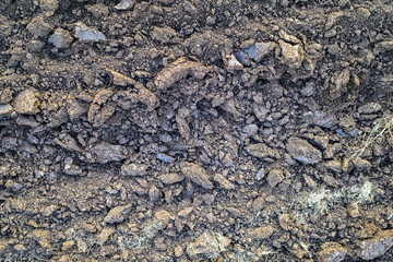soil texture and background. Grunge soil background. Abstract ground.