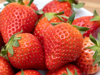 イチゴ　やよいひめ
