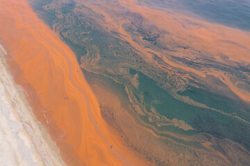 海岸に押し寄せる赤潮　ドローン空撮　