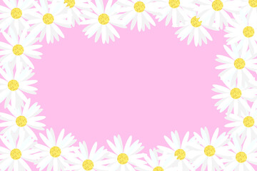 White daisies frame on pink background