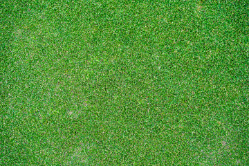 Fototapeta premium top view background of garden bright grass concept used for making green backdrop, lawn for sports field, golf course lawn green striped texture background.