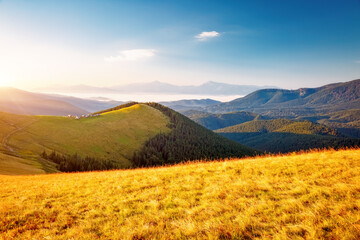 Splendid summer scene of a rolling hills on a sunny day. Carpathian mountains, Ukraine.