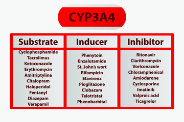 CYP3A4 Cytochrome p450 enzyme pharmaceutical substrates, inhibitors and inducers examples, for pharmacology, medicine, biochemistry education.