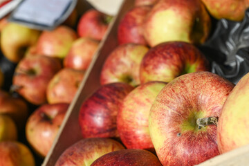 alimentation pomme caisse marchand recolte marché