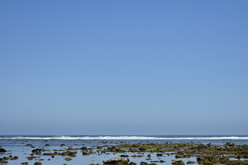 beach and sea in summer