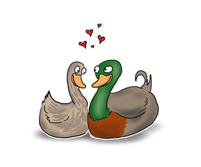 Duck loves Duck