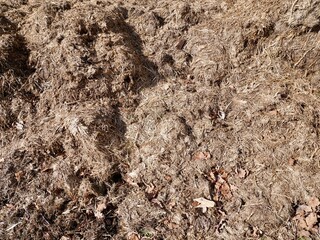 Aerial view of dung heap.
