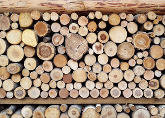 pattern of brown wood log background texture